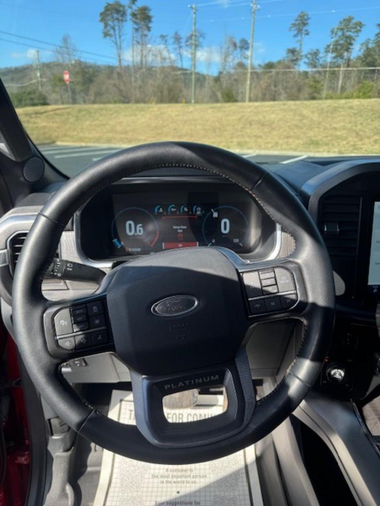 2022 Ford F-150 Platinum - Photo 16