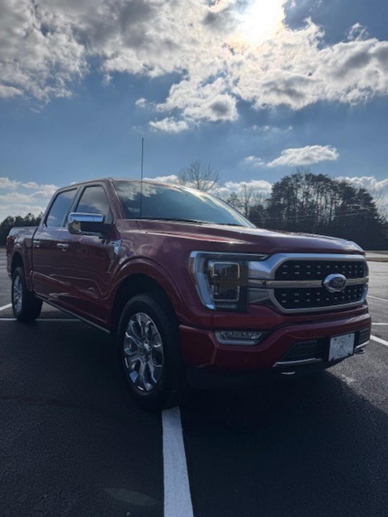 2022 Ford F-150 Platinum - Photo 8